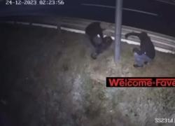 Rovigo, dietro Fleximan si nascondono due persone, ecco il VIDEO mentre abbattono un autovelox a Rosolina

