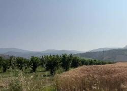 Poste Italiane, a Montecchio il presidio Polis contro lo spopolamento: punto di riferimento per la comunità e il territorio umbro