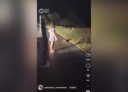 Australia, influencer Usa Sam Jones rapisce cucciolo di vombato dalla mamma, poi lascia il Paese dopo la bufera e la petizione per revoca visto - VIDEO