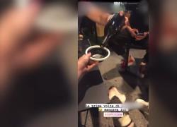 Cane fatto ubriacare con lo champagne dà di matto: denunciati i padroni. IL VIDEO 