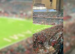 Il gatto cade dagli spalti durante la partita, ma i fan pensano a un modo per salvarlo. VIDEO