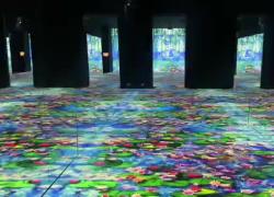 Monet. Palazzo Reale  di Milano Video