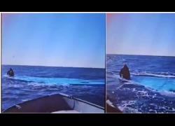 Naufragio migranti a largo della Libia, affondato barcone con 117 persone a bordo, Sea-Watch: &ldquo;116 morti, 1 solo superstite&rdquo; &ndash; VIDEO