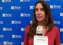 Terna, Bosetti: "Nella transizione ecologica mettere al centro l'essere umano e i suoi bisogni"
