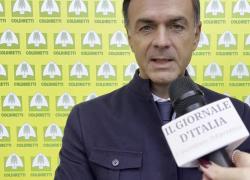 Prandini (Coldiretti): "Oggi in agricoltura le donne sono protagoniste; vogliamo affiancarle, sostenerle e farle crescere sempre di più"