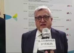 Calzolari (BolognaFiere): "Zoomark +23% espositori e +32% area, hub internazionale del settore PET con 1.300 aziende da 58 Paesi"