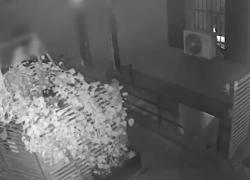 Omicidio in panetteria a Milano, il VIDEO della sparatoria: Raffaele Mascia prende la pistola, spara 6 colpi e scappa dal portone 