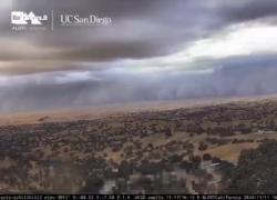 California attraversata da un muro di sabbia e polvere, l'effetto distruttivo dell'haboob su alberi e recinzioni - VIDEO