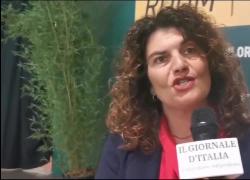Napolitano (Terna): "Interconnessione tra sistemi elettrici chiave per resilienza; collegamento Italia-Tunisia strategico per sicurezza energetica"