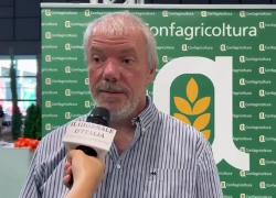 Valente (Caritas): "Promozione del lavoro, dei territori e integrazione delle persone, pilastri del Progetto Ripariamo Dalla Nostra Terra"