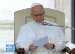 Papa Leone XIV, l'appello per Gaza nella 1° udienza generale: "Situazione dolorosa, entrino aiuti umanitari e cessino ostilità" - VIDEO