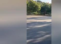 Agrigento Capitale Cultura, strade asfaltate per l'arrivo di Mattarella ma ricoperti anche i tombini, ora li cercano col metal detector - VIDEO