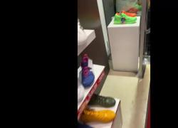 Marina di Massa Carrara, Viareggio: mercato centrale investito dalla tromba d'aria. VIDEO