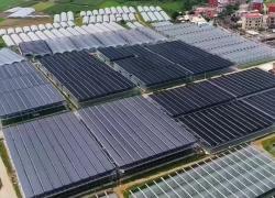 Cina: imprenditore sviluppa tecnologie agricole a Xiamen