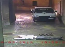 Morte David Rossi, la caduta all&rsquo;indietro dalla finestra dell&rsquo;ex capo comunicazione Mps e l'agonia a terra per un'ora - VIDEO CHOC