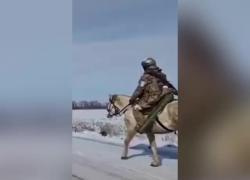 Ucraina, cammelli, asini e muli: la scelta tattica dei russi per non farsi individuare dai droni, sulla scia degli Usa in Afghanistan - VIDEO