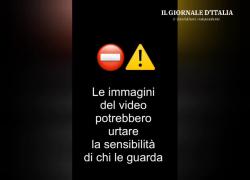 Arciere killer a Genova: 63enne lancia una freccia e uccide un uomo di origini peruviane - il VIDEO shock
