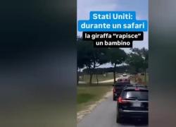 Texas, bambina di due anni "rapita" da una giraffa durante un safari al Fossil Rim Wildlife Center - VIDEO
