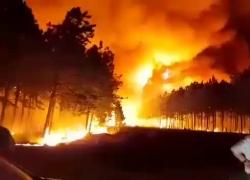 Incendi in Argentina, il VIDEO delle foreste in fiamme: persi oltre 600mila ettari