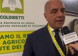 Scordamaglia (Filiera Italia) : “Siamo riusciti a creare una filiera completamente Made in Italy  per i bambini da 0 a 3 anni, un enorme successo per tutti”