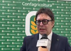 Gambuzza (Confagricoltura): "Con Caritas e Jti lavoro a 15 ex detenuti; legge Agricoltura? Ci aspettavamo più coraggio"