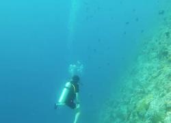 Aurora Ramazzotti, twerking a 20 metro sott'acqua: VIDEO