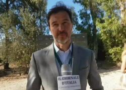 Confalone (Novartis):"Europa investa in chimica di base per essere indipendente, 350 mln ricerca in Italia, autonomia differenziata necessario garantire LEA"