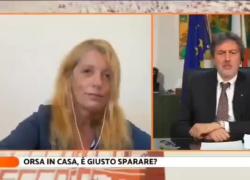 Benedetta Scuderi attacca Andrea Giambruno: "Se l'orsa Amarena non fosse uscita non avrebbe incontrato il lupo" - VIDEO