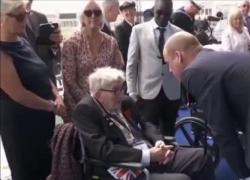 D-Day, William a un veterano: "Kate Middleton sta meglio", ma Caprarica smonta gli entusiasmi: "Situazione allarmante, tumore avanzato" - VIDEO
