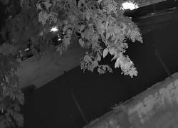 Antonio Micarelli arrestato, il VIDEO in cui la guardia giurata spara al ladro in fuga a distanza ravvicinata e lo uccide con un colpo in testa