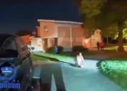 Springfield (Ohio), “gatto mangiato da migrante illegale di Haiti, arrestata dalla polizia” - il VIDEO virale