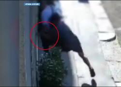 Milano "banlieue", rubato orologio Richard Mille da 300mila € a Nevzat Kaya, vicepresidente del Trabzonspor, arrestato ladro 28enne nordafricano - VIDEO