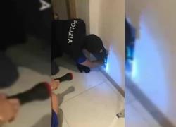 "C'è un ladro nella canna fumaria", ma è solo una civetta: sorpresa per la polizia. IL VIDEO