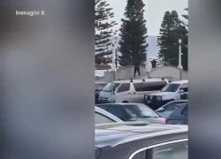 Sydney, sparatoria su folla durante celebrazione di Hanukkah a Bondi Beach, 16 morti e 40 feriti, i killer erano padre e figlio, ucciso uno dei due - VIDEO