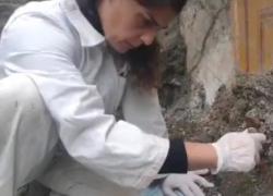 Pompei, “presepe pagano” affiora dagli scavi, 13 statuine in terracotta alte 15 cm nell’atrio di una domus - VIDEO