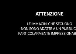 Bologna, picchiate e sfruttate per chiedere l'elemosina, arrestati 2 romeni per tratta di esseri umani e schiavitù - VIDEO