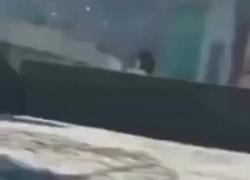 Haiti, 4000 detenuti evasi dalle carceri, messa a ferro e fuoco Port-au-Prince: Stato d'emergenza e coprifuoco - VIDEO