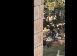 Cisgiordania, soldato Idf profana tomba palestinese nel villaggio di Misliya, distruggendola e scavando la terra con i piedi - VIDEO