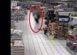 Accoltellamento Assago, il VIDEO choc dell'aggressione al centro commerciale