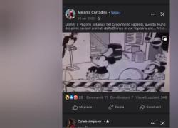 Topolino fa i buchi al formaggio col pene in erezione, VIDEO virale, scandalo sul web