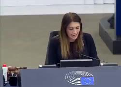 Eurodeputato bulgaro insulta Gozi e fa il saluto romano: VIDEO