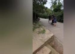 Barcellona, "immigrato nordafricano prende a schiaffi bambina di 1 anno al parco in pieno giorno", Salvini: "Ue importa delinquenti" - VIDEO