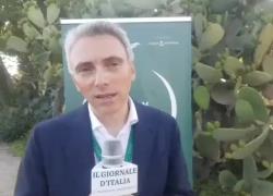 Volpe (Nadara): "Entro il '30 raggiungeremo 130 gigawatt di rinnovabili; siamo il quarto operatore europeo nell'eolico con 4,2 gigawatt installati"
