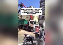 Roma, quasi 150 alberi abbattuti tra Monteverde ed Eur, comune: “Rischio crollo”, cittadini protestano: “Attacco a patrimonio verde della città” – VIDEO
