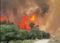 Israele, incendio sulle colline di Gerusalemme, Katz dichiara emergenza nazionale, il messaggio di Hamas: "Bruciate tutto, boschi e case dei coloni" - VIDEO