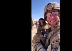 Africa, il VIDEO virale del soldato con la scimmia in braccio: lei svita la granata e tutti scappano prima che esploda