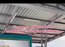 Singapore, 6 frustate per i truffatori, ministro Interni Ann: "Introdotta fustigazione obbligatoria per i colpevoli" - VIDEO