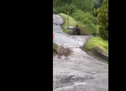 Frana a Sarsina, in provincia di Forlì-Cesena la collina si trascina dietro alberi e strade - VIDEO