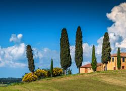 “Toscana Bella e Buona”. L’agroalimentare della Regione protagonista su intoscana.it 