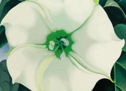 “Bianco Fiore n.1”, l’iperrealisno di Georgia O’Keefe: vera rock star dell'arte del ventesimo secolo